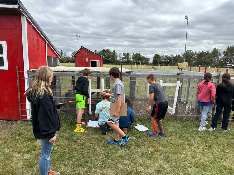 5th graders on the farm.